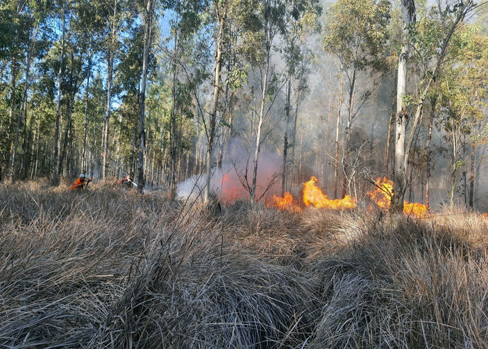 Mersin'de orman yangın: Ekipler müdahale ediyor