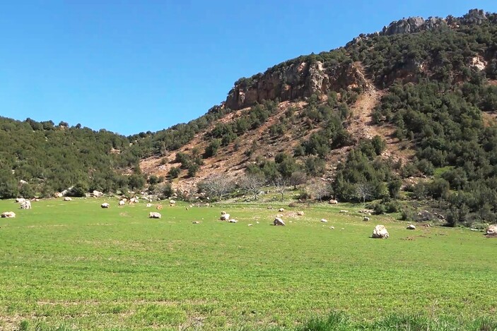 Kahramanmaraş'ta tarım arazilerine kaya yağdı